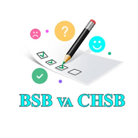 BSB, CHSB bo‘yicha oʻquvchiga kunlik baho quyidagicha qoʻyiladi