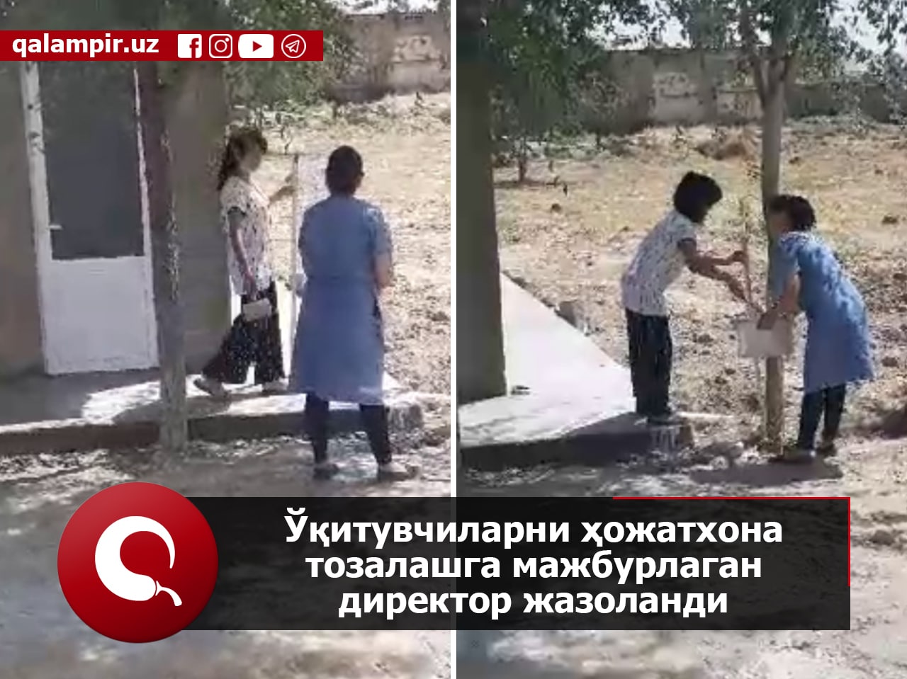 Ўқитувчиларни ҳожатхона тозалашга мажбурлаган директор жазоланди